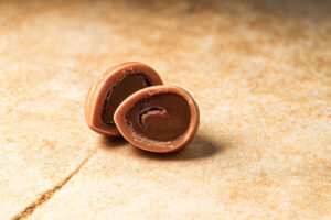 Dulcey walnoot – karamelchocolade met praliné & walnoot