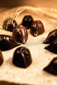 Chocolade muizen – Belgische melkchocolade met praliné