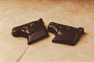 Paardenkopjes pure chocolade – praline met praliné & nougatine bij Chocolaterie Van Parijs